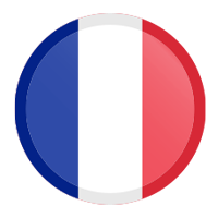 France Flag Icon