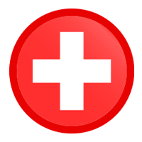 Switzerland Flag Icon